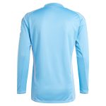 aston villa adidas goalkeeper shirt 2024-25 – long sleeve – 201964005 with custom printing Collection | Aston Villa Shop Official Jerseys