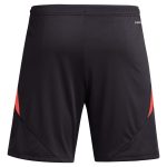 aston villa adidas goalkeeper shorts 2024-25 – 201964002 with custom printing Collection | Aston Villa Shop Official Jerseys