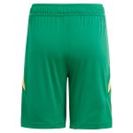 aston villa adidas goalkeeper shorts 2024-25 – 201964010 with custom printing Collection | Aston Villa Shop Official Jerseys