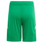 aston villa adidas goalkeeper shorts 2024-25 – kids – 201964012 Collection | Aston Villa Shop Official Jerseys