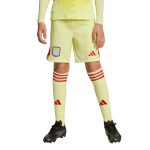 aston villa adidas goalkeeper shorts 2025-26 – kids with custom printing Collection | Aston Villa Shop Official Jerseys