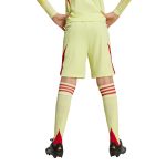 aston villa adidas goalkeeper shorts 2025-26 – kids with custom printing Collection | Aston Villa Shop Official Jerseys