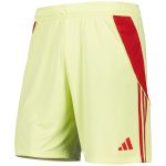 aston villa adidas goalkeeper shorts 2025-26 with custom printing Collection | Aston Villa Shop Official Jerseys