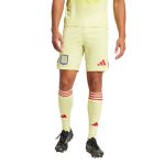 aston villa adidas goalkeeper shorts 2025-26 with custom printing Collection | Aston Villa Shop Official Jerseys