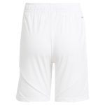 aston villa adidas home shorts 2024-25 with custom printing Collection | Aston Villa Shop Official Jerseys